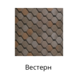Вестерн